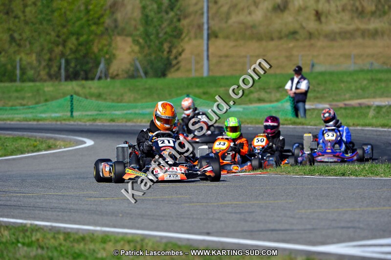 DSC_ (1732).jpg